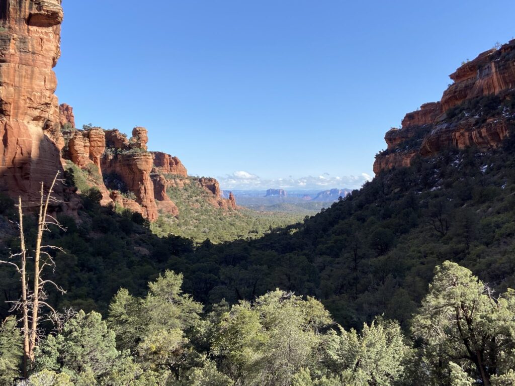 The programs featured image